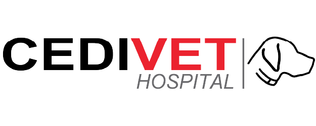 Cedivet Hospital