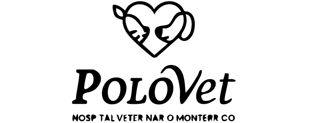 Polovet