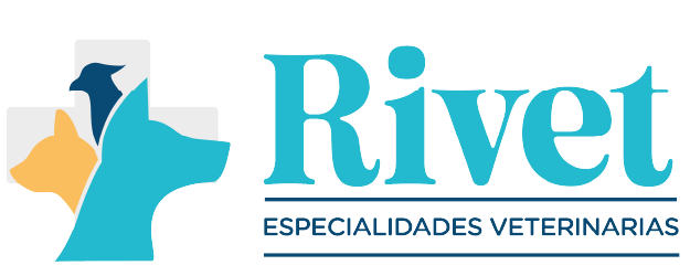 Rivet