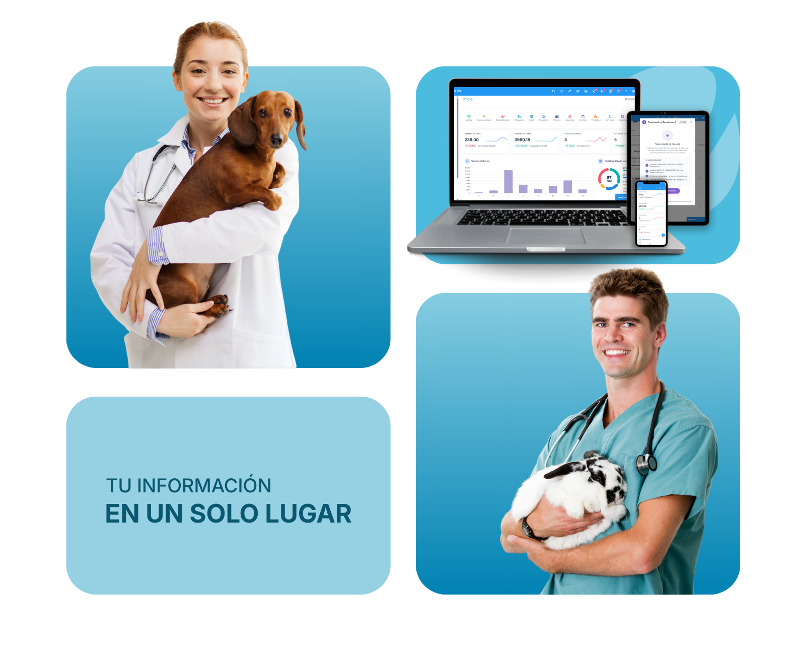 Beneficios VetPraxis
